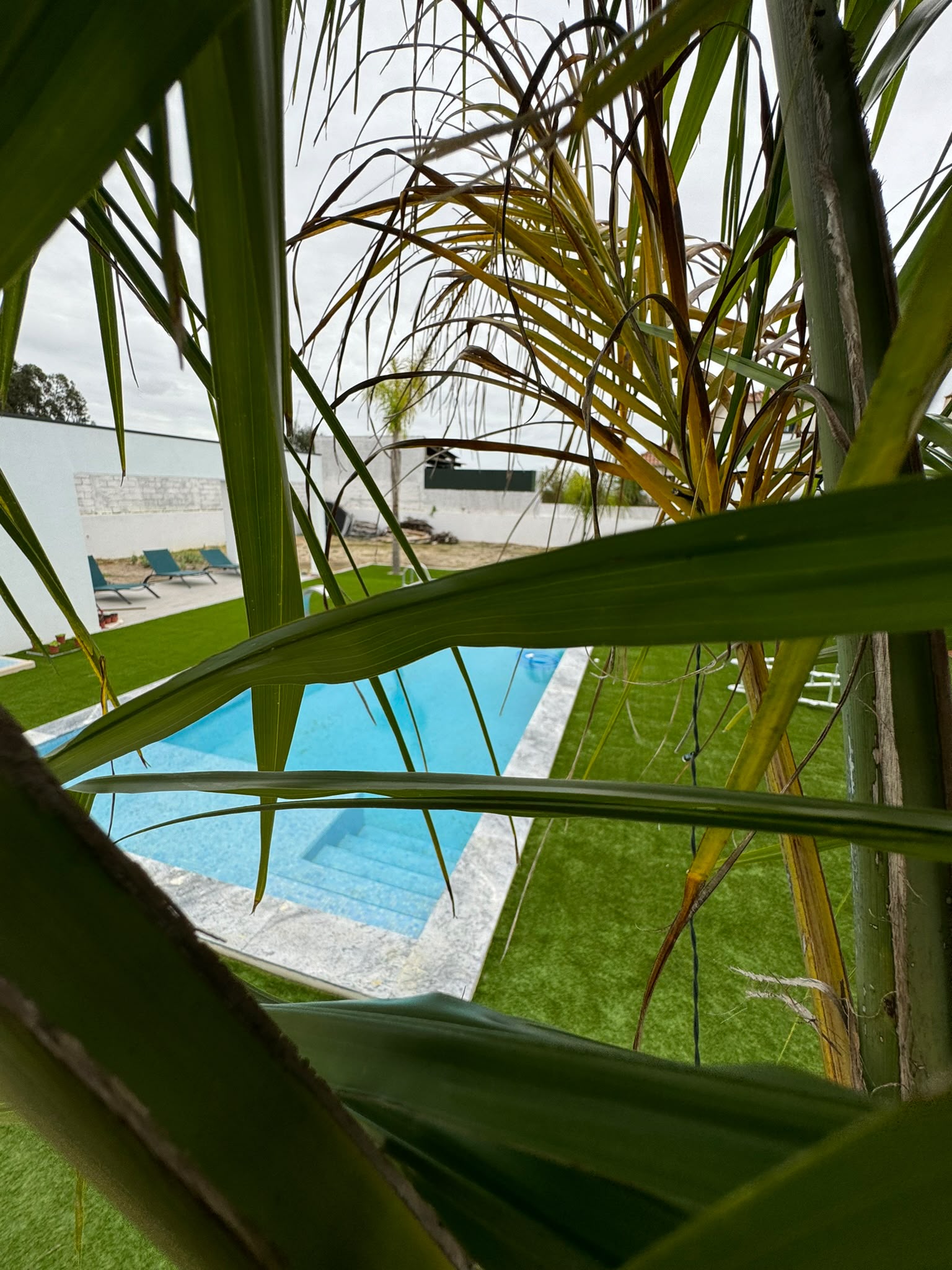 Piscina em betão integrada em jardim residencial